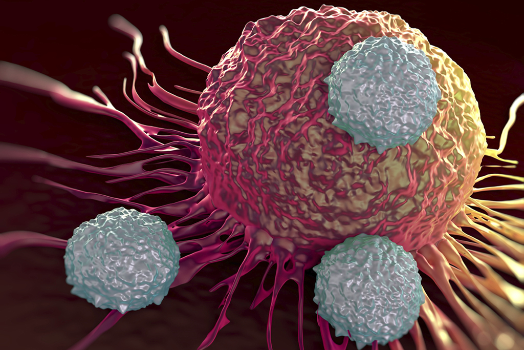 4 things every cancer patient should know about immunity